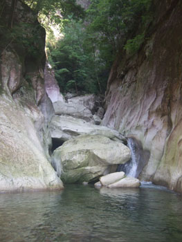 0806ikegou1.jpg