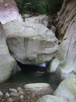 0806ikegou2.jpg