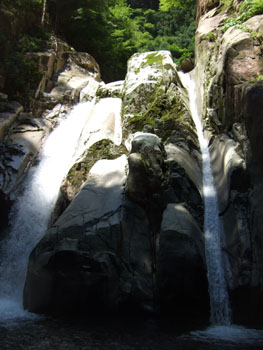 0806ikegou4.jpg