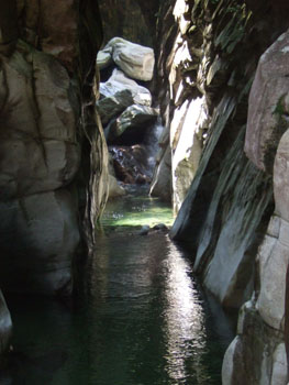 0806ikegou_rouka.jpg