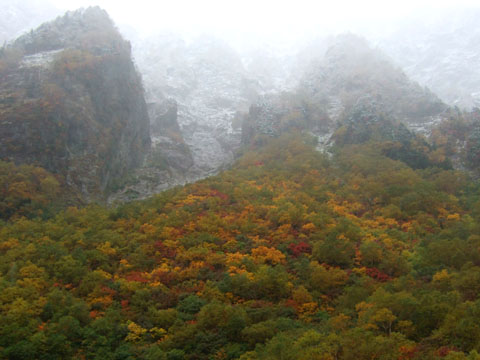 1008_yarisawa.jpg
