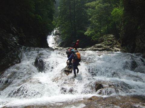 20070626name.jpg