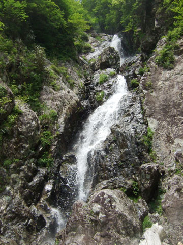 20070627fall.jpg