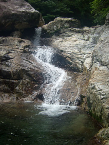 20070901shabaku.jpg