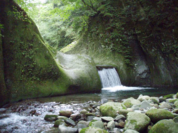20070915F2.jpg