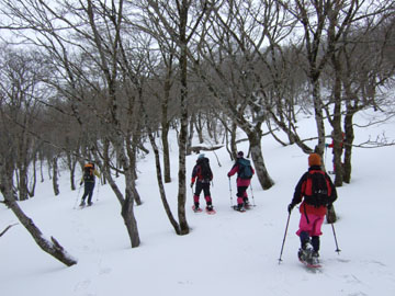 2007_0127genryu.jpg