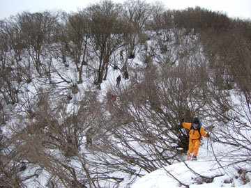 2007_0127yabu.jpg