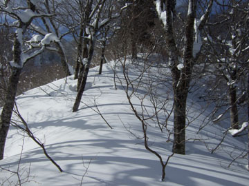 2007_0204one.jpg
