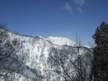 2007_0204sanpo.jpg