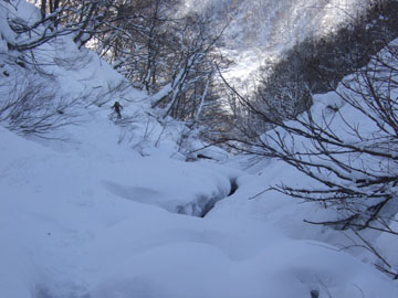 2007_0204ware.jpg