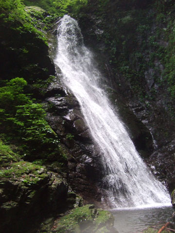 2007_0708_15m.jpg