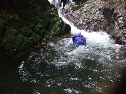 2007_0708swim.jpg