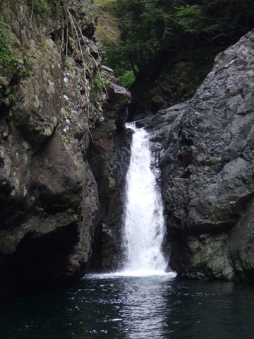 2007_0807eco.jpg