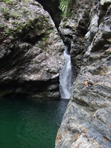 2007_0807nejire1.jpg