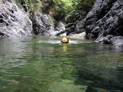 2007_0807swim.jpg
