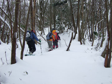 20080127Oomikage2.jpg