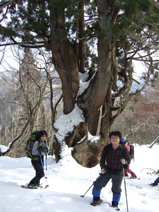 20080309AsiuSugi1.jpg