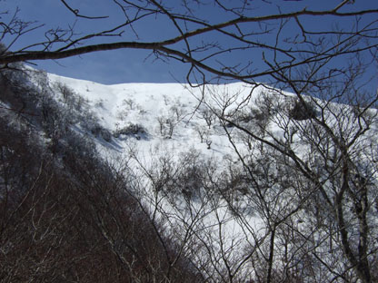 20080322hokumen.jpg