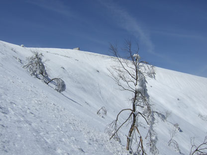 20080322hokumen2.jpg