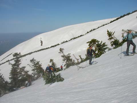 20080518tonbiiwa.jpg