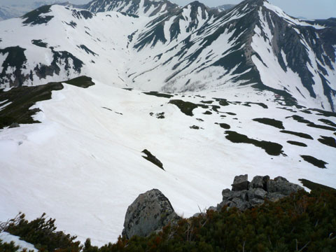 20080602NEFace_Mitu.jpg