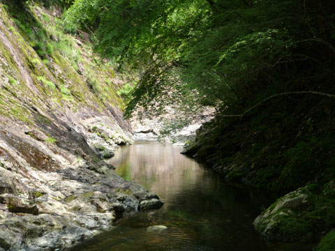 20080620Rouka.jpg