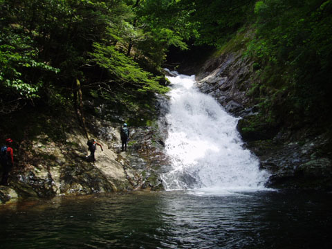 20080620Shabaku.jpg