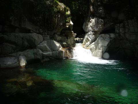 20080719hontani_kakushin.jpg