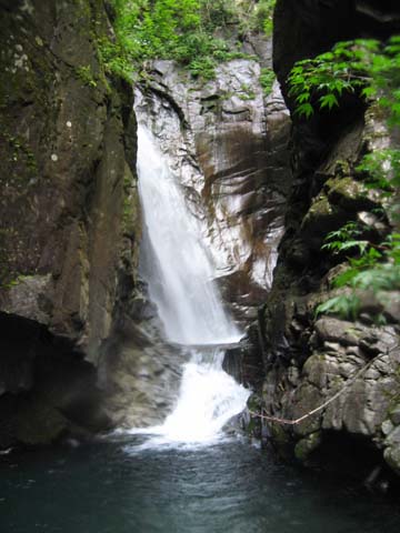 20080719magaritaki.jpg