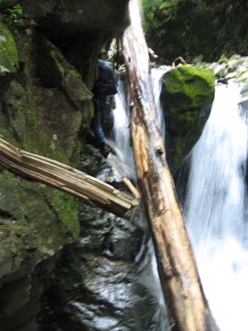 20080719nijotaki.jpg