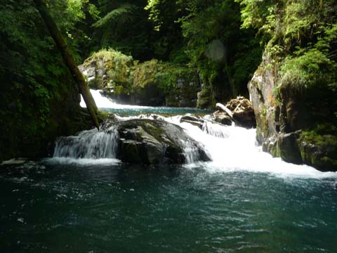 20080720_2dankama.jpg