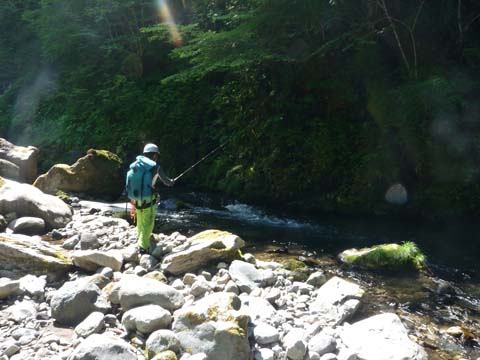 20080720fishing.jpg