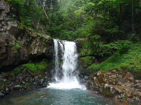 20080720mumeitaki.jpg