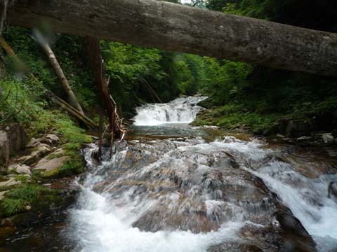 20080720name0.jpg