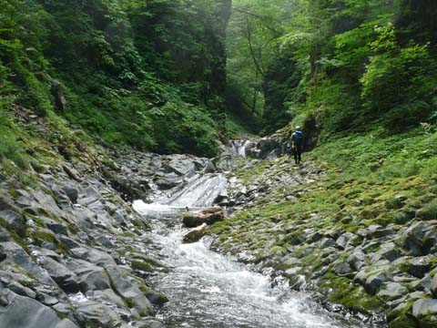 20080720name_shabaku.jpg