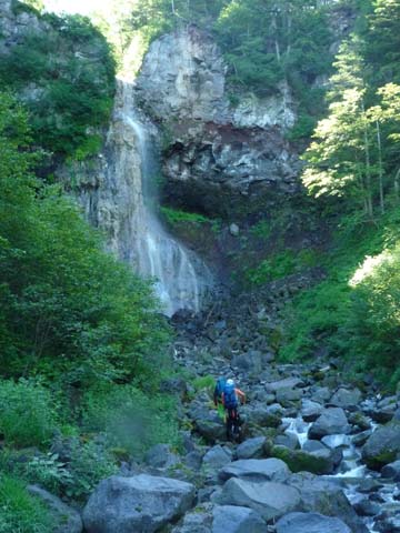20080721hyakken.jpg