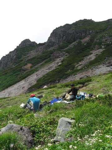 20080721ohanabatake.jpg