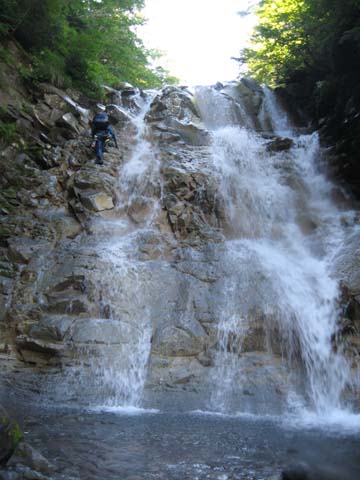 20080721shintani.jpg